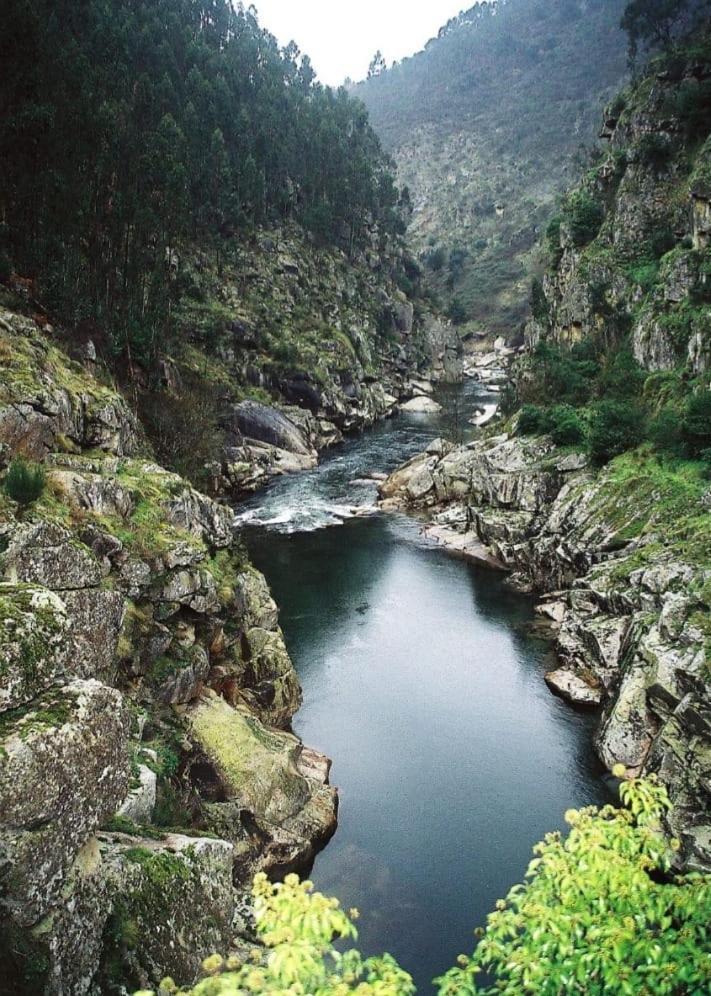 Crasto Payva Douro Nature 카스텔루 지 파이바 외부 사진